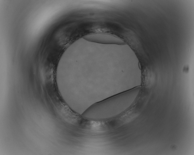 X0000112150762200909181423