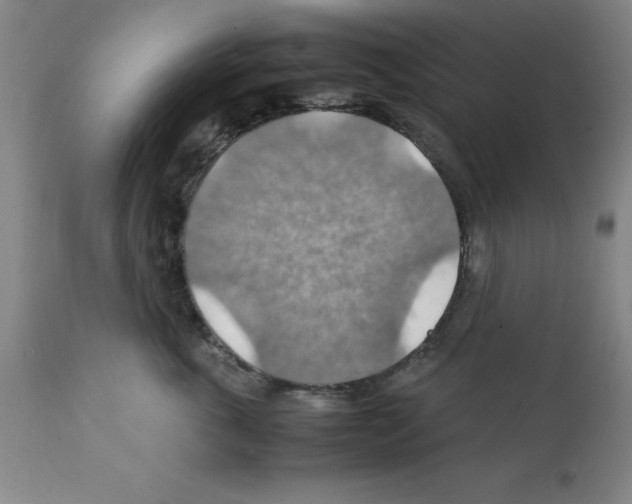 X0000112150763200909181423