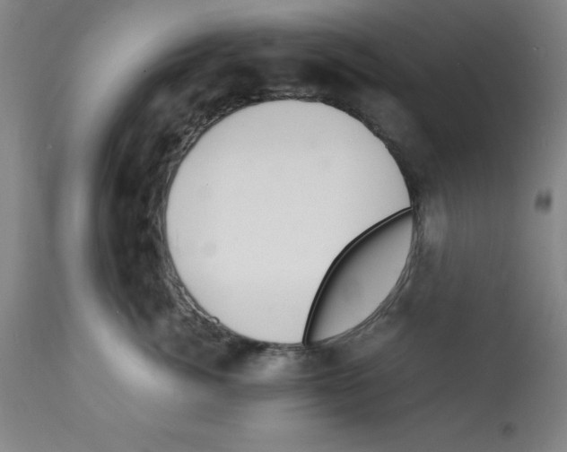 X0000112150764200909181423