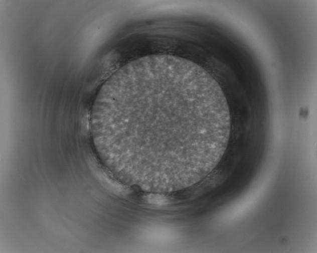 X0000112150766200909181423