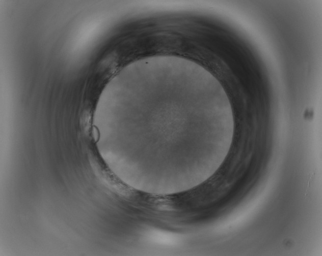 X0000112150767200909181423