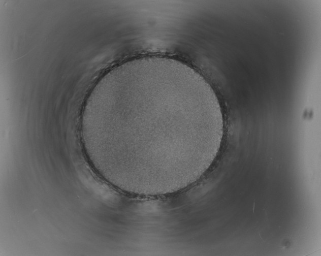 X0000112150769200909181422