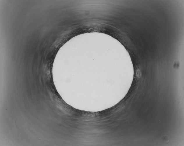 X0000112150771200909181422