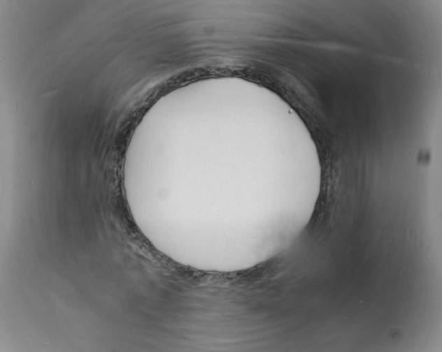 X0000112150773200909181422