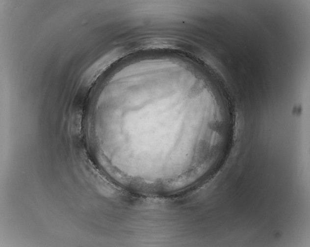 X0000112150777200909181422