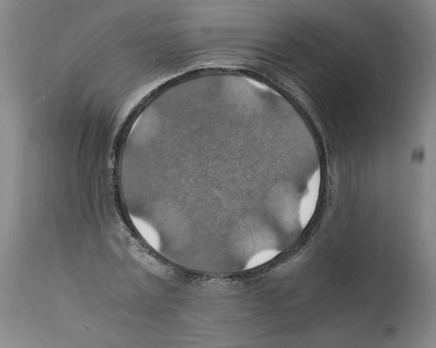 X0000112150779200909181422