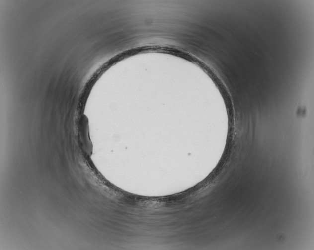 X0000112150783200909181422