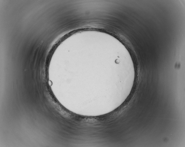 X0000112150784200909181422