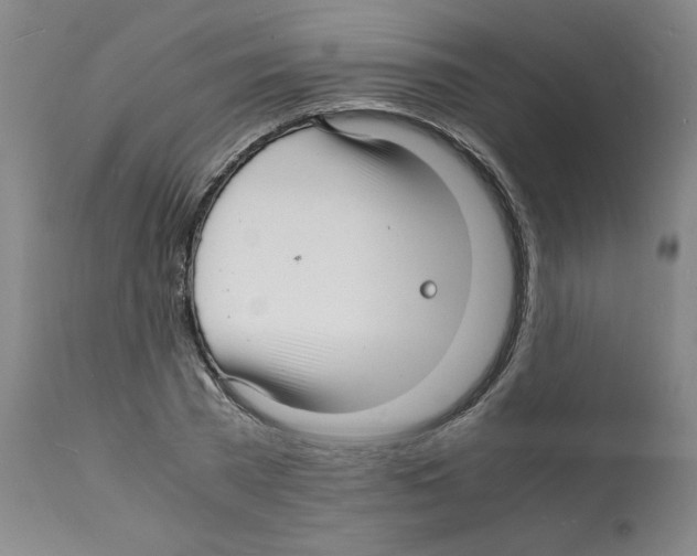 X0000112150785200909181422