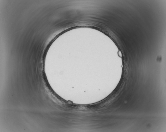 X0000112150787200909181422