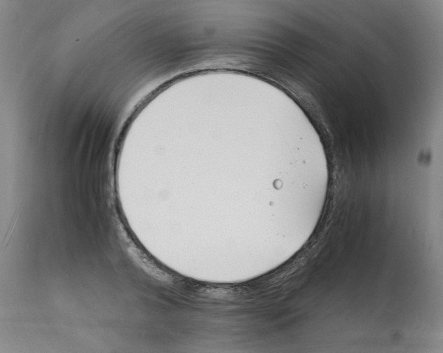 X0000112150792200909181422