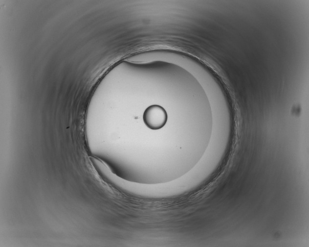 X0000112150793200909181422