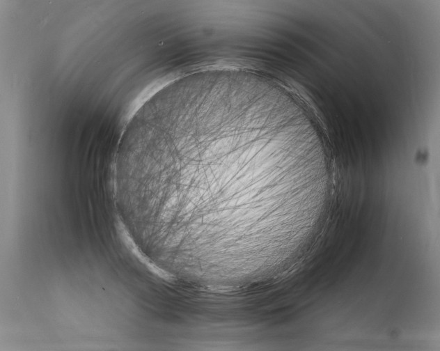 X0000112150794200909181422