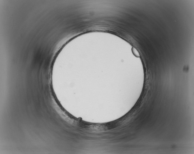 X0000112150795200909181422