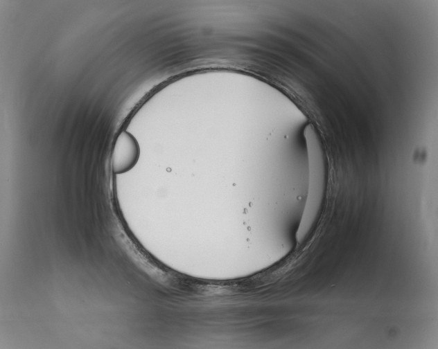 X0000112150796200909181422