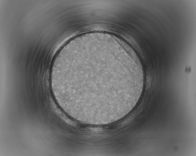 X0000112150798200909181422