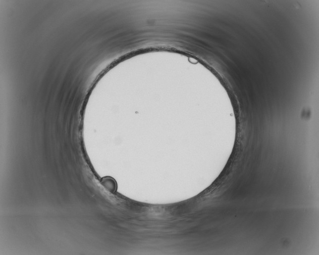 X0000112150799200909181422