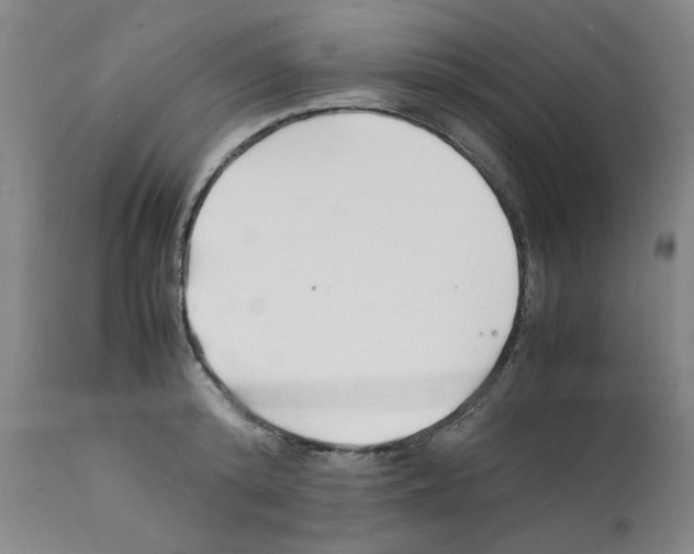 X0000112150800200909181422
