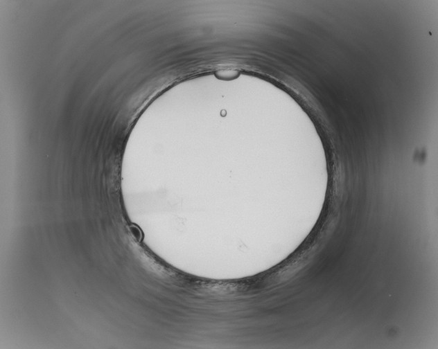 X0000112150801200909181422