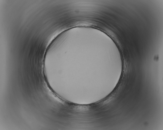 X0000112150802200909181422