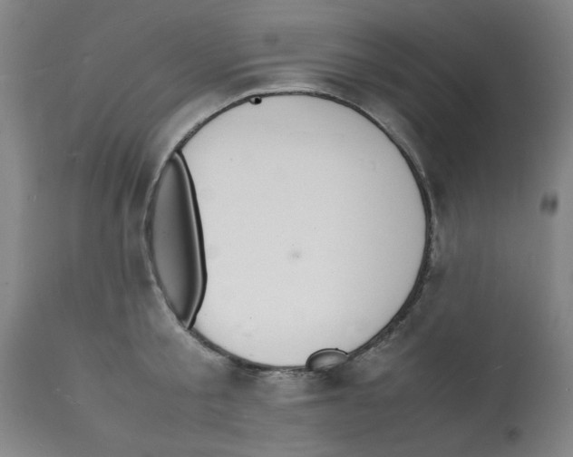 X0000112150805200909181422