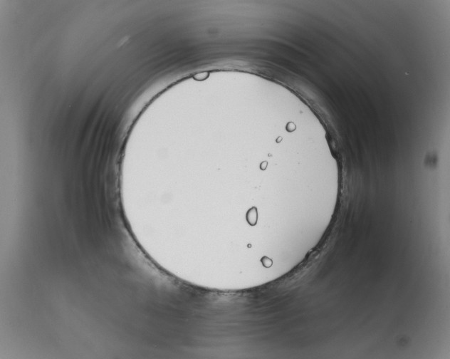 X0000112150808200909181422