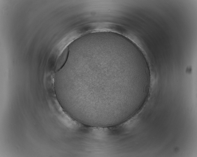 X0000112150809200909181422