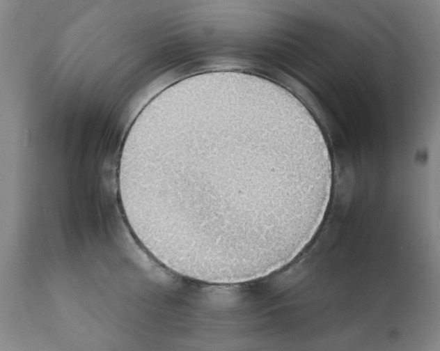 X0000112150810200909181422
