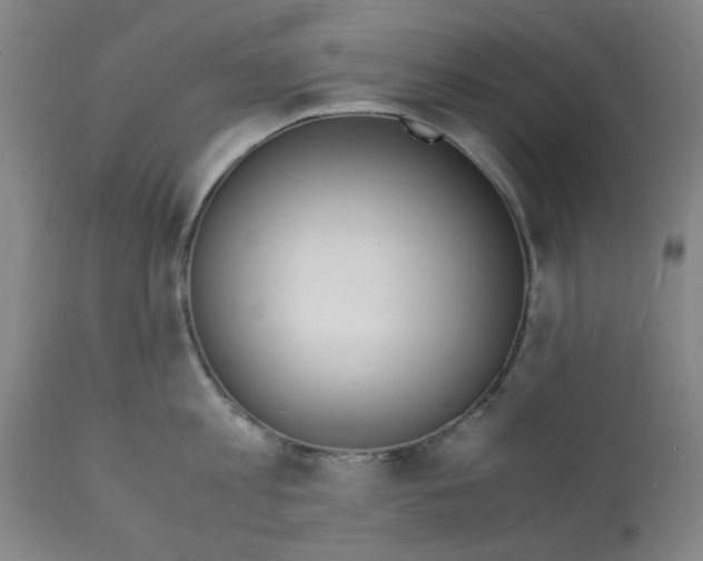 X0000112150813200909181422