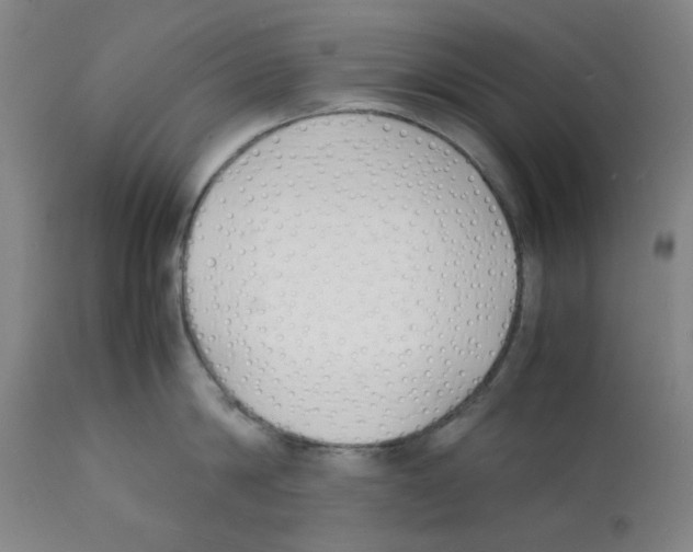 X0000112150814200909181422