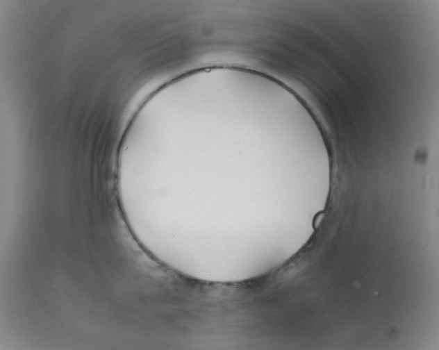 X0000112150815200909181422