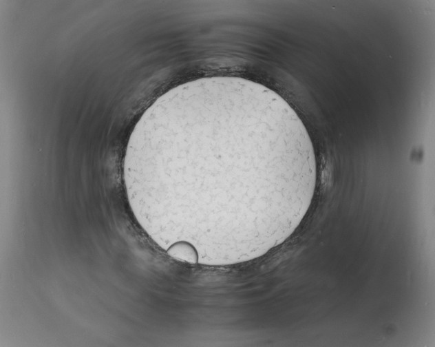 X0000112150819200909181421