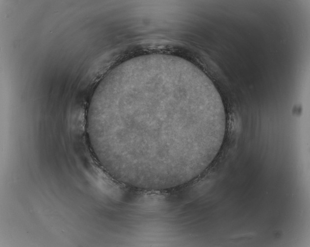 X0000112150820200909181421