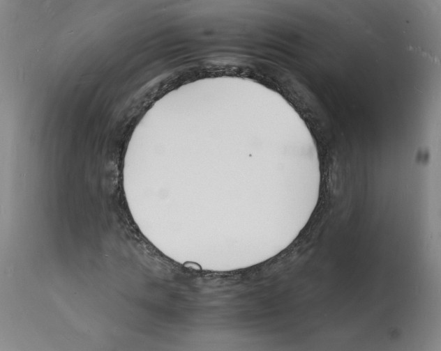X0000112150821200909181421