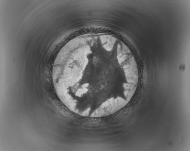 X0000112150823200909181421