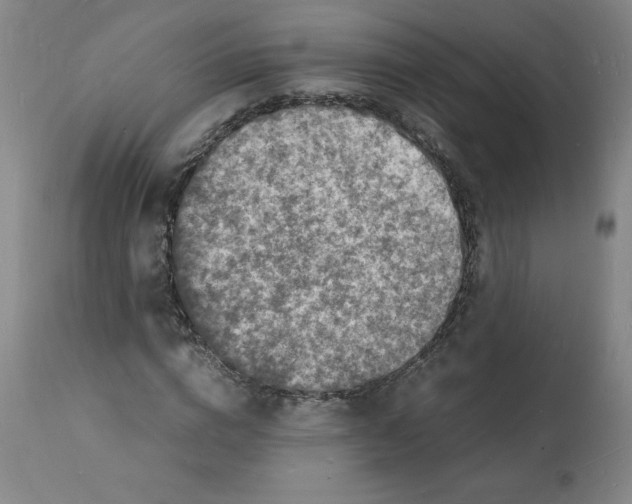X0000112150824200909181421