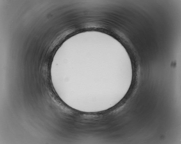 X0000112150825200909181421