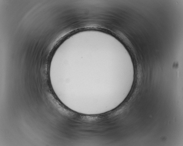 X0000112150831200909181421