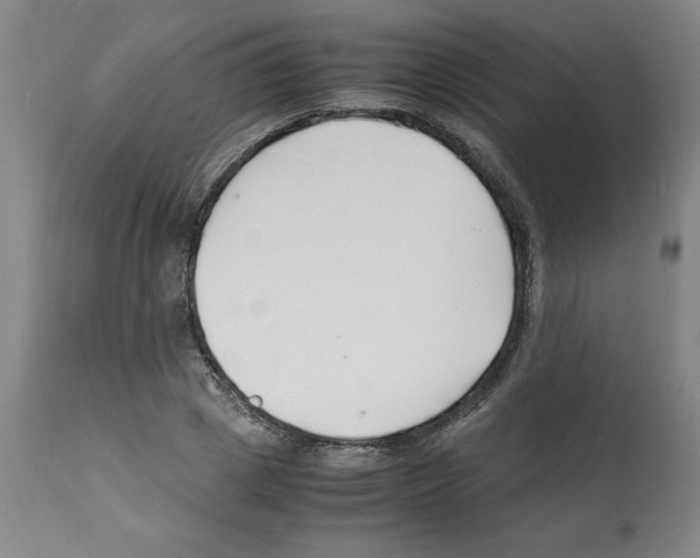 X0000112150833200909181421