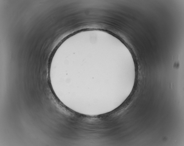 X0000112150837200909181421
