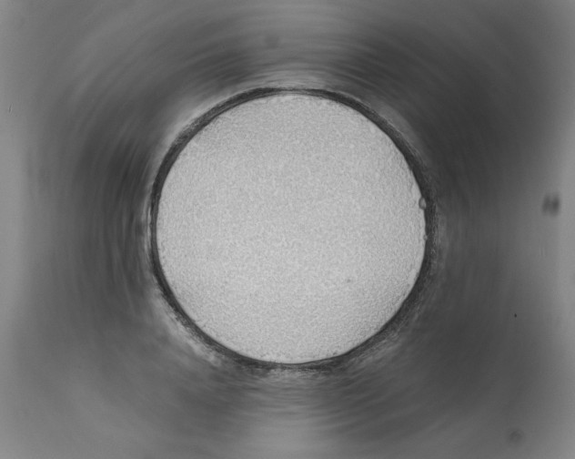 X0000112150840200909181421