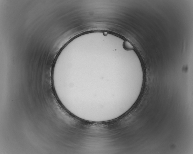 X0000112150842200909181421