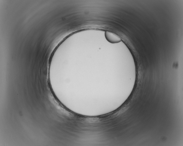 X0000112150844200909181421