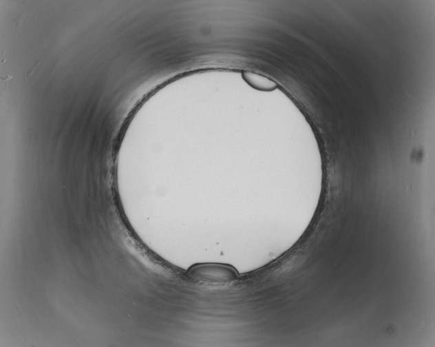 X0000112150846200909181421