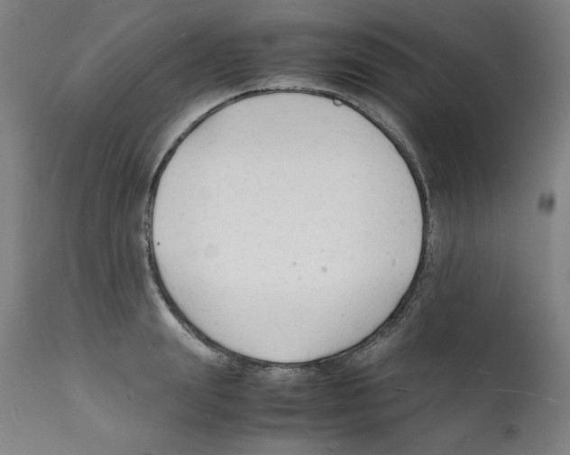 X0000112150847200909181421