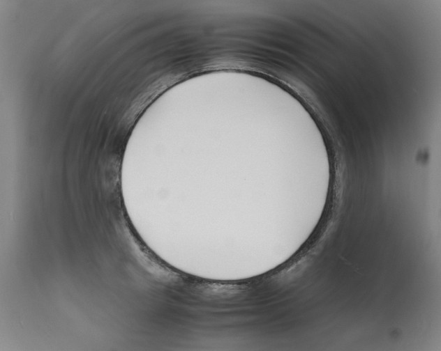 X0000112150849200909181421