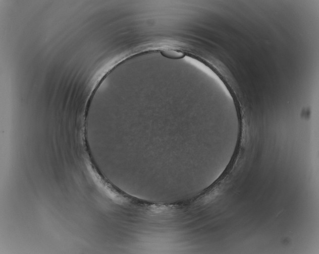X0000112150850200909181421