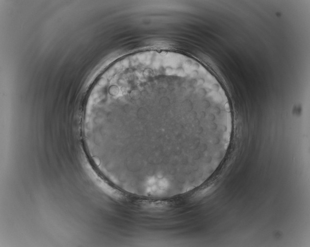 X0000112150851200909181422
