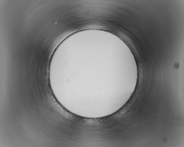 X0000112150852200909181422
