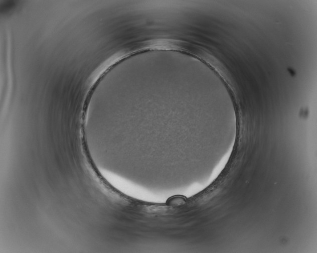 X0000112150853200909181422